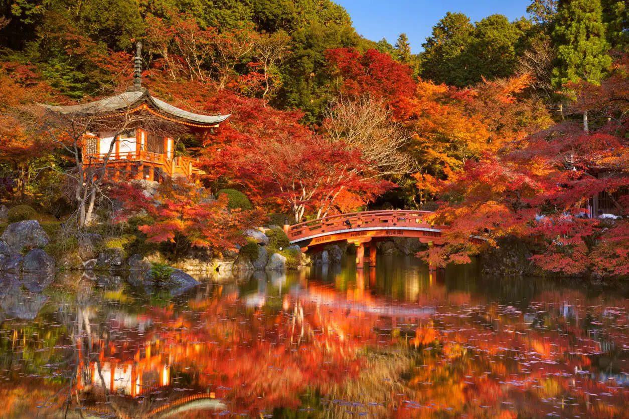 Autumn foliage, Japanese temple, red bridge.